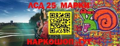 ECSTASY Кимры