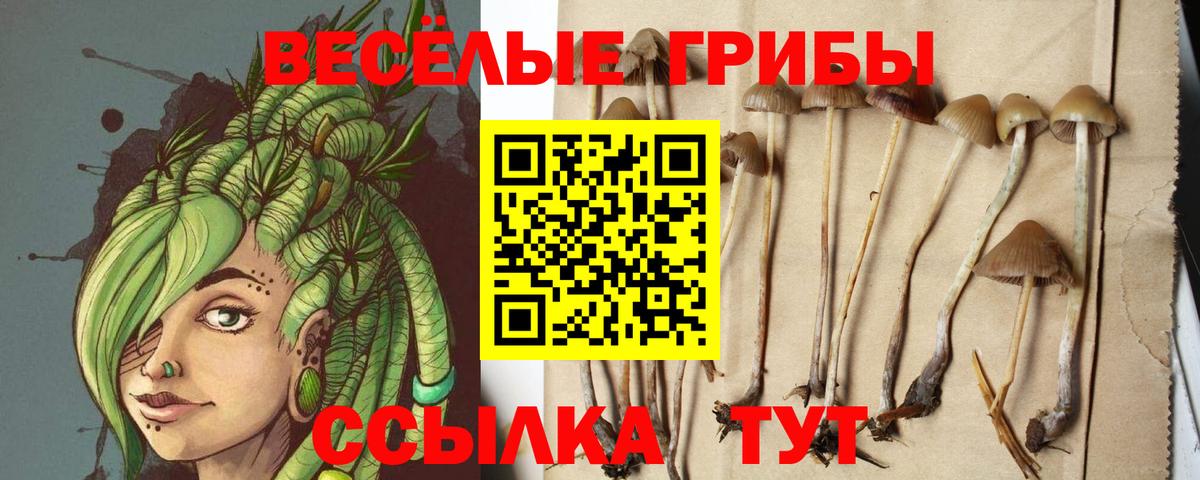 МЕФ кристаллы  Меф  Гашиш  КОКАИН  Корсаков  NBOMe  Вход с VPN  Каннабис  ЭКСТАЗИ 